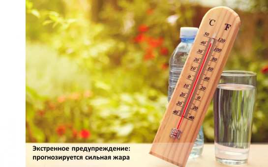 Экстренное предупреждение: прогнозируется сильная жара