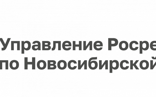 Оплата государственной пошлины за оформление недвижимости осуществляется по УИН