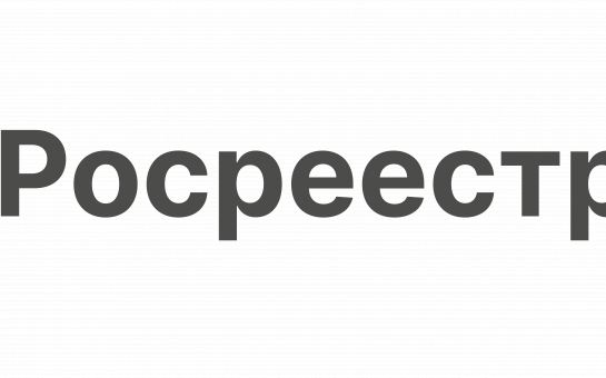 О признаках неосвоенной земли и условиях ее изъятия рассказала в эфире региональных новостей телеканала «Россия 1» заместитель руководителя новосибирского Росреестра  Наталья Ивчатова